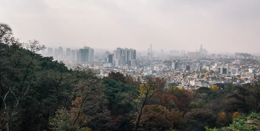 Panoramic view of Seoul's skyline shrouded in fog, framed by lush autumn foliage.